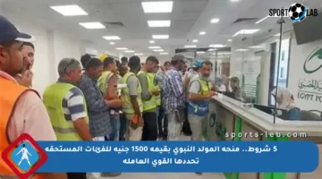 5 شروط.. منحة المولد النبوي بقيمة 1500 جنيه للفئات المستحقة تحددها القوى العاملة